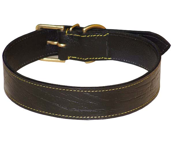 Dog Collar