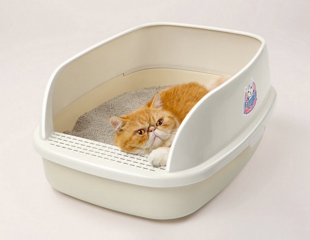 cat litter box